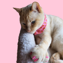 Load image into Gallery viewer, Cat Bandana - Picture Book / Strawbitties / Flamingo by Ruby Star Society