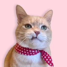 Load image into Gallery viewer, Vintage Valentine Bandana - Red Ditzy