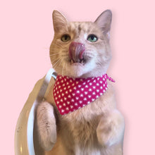 Load image into Gallery viewer, Vintage Valentine Bandana - Red Ditzy
