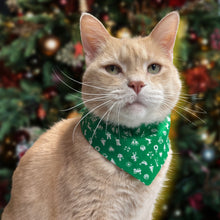 Load image into Gallery viewer, Cat Bandana - Vintage Green Ditzy Christmas Print