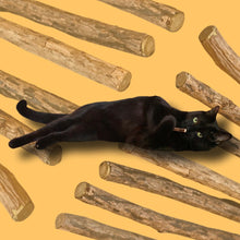 Load image into Gallery viewer, Matatabi Silvervine Stick