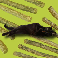 Load image into Gallery viewer, Matatabi Silvervine Sticks - 3 pack