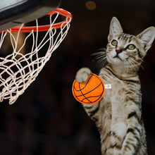 Load image into Gallery viewer, Catnip Basketball
