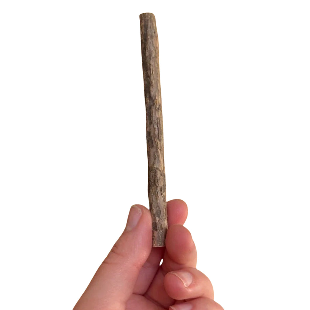 Matatabi Silvervine Stick