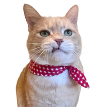 Load image into Gallery viewer, Cat Bandana - Vintage Calico Hearts
