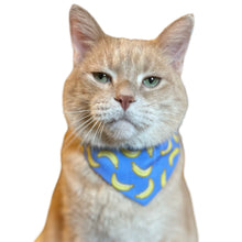 Load image into Gallery viewer, MEDIUM Bandana - Bananas
