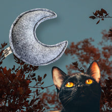 Load image into Gallery viewer, Catnip Moon
