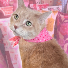 Load image into Gallery viewer, Cat Bandana - Makin’ Biscuits Appliqué Heart Bandana
