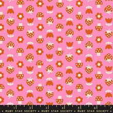 Load image into Gallery viewer, Cat Bandana - Picture Book / Strawbitties / Flamingo by Ruby Star Society
