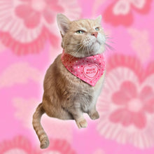 Load image into Gallery viewer, Cat Bandana - Makin’ Biscuits Appliqué Heart Bandana

