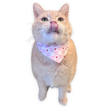 Load image into Gallery viewer, Cat Bandana - Pink Checker Heart
