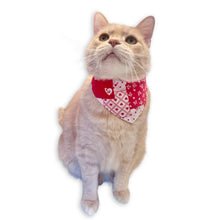 Load image into Gallery viewer, Cat Bandana - Vintage Valentine Patchwork
