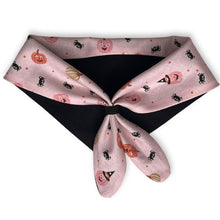 Load image into Gallery viewer, Cat Bandana - Pumpkins &amp; Spiders on Pink
