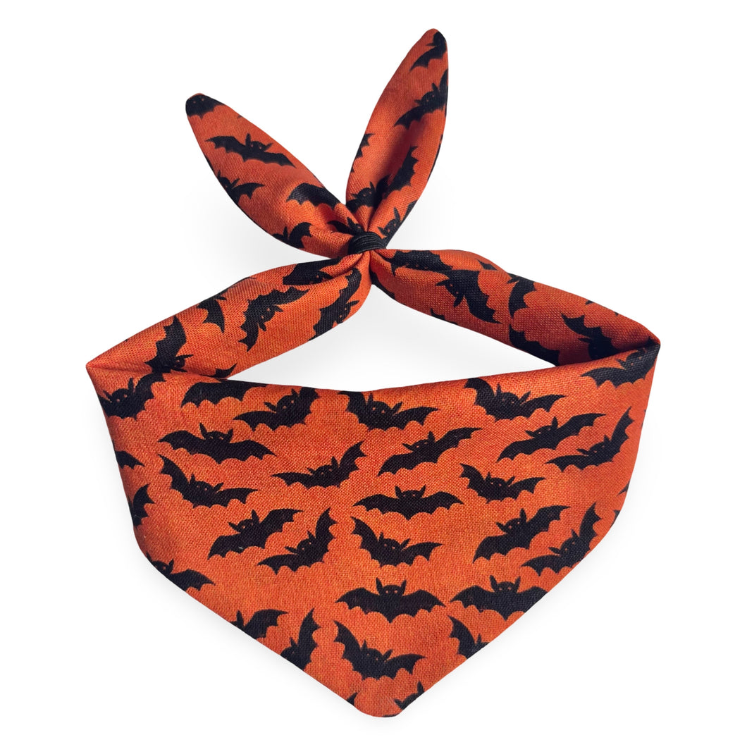 Cat Bandana  - Bats (orange)