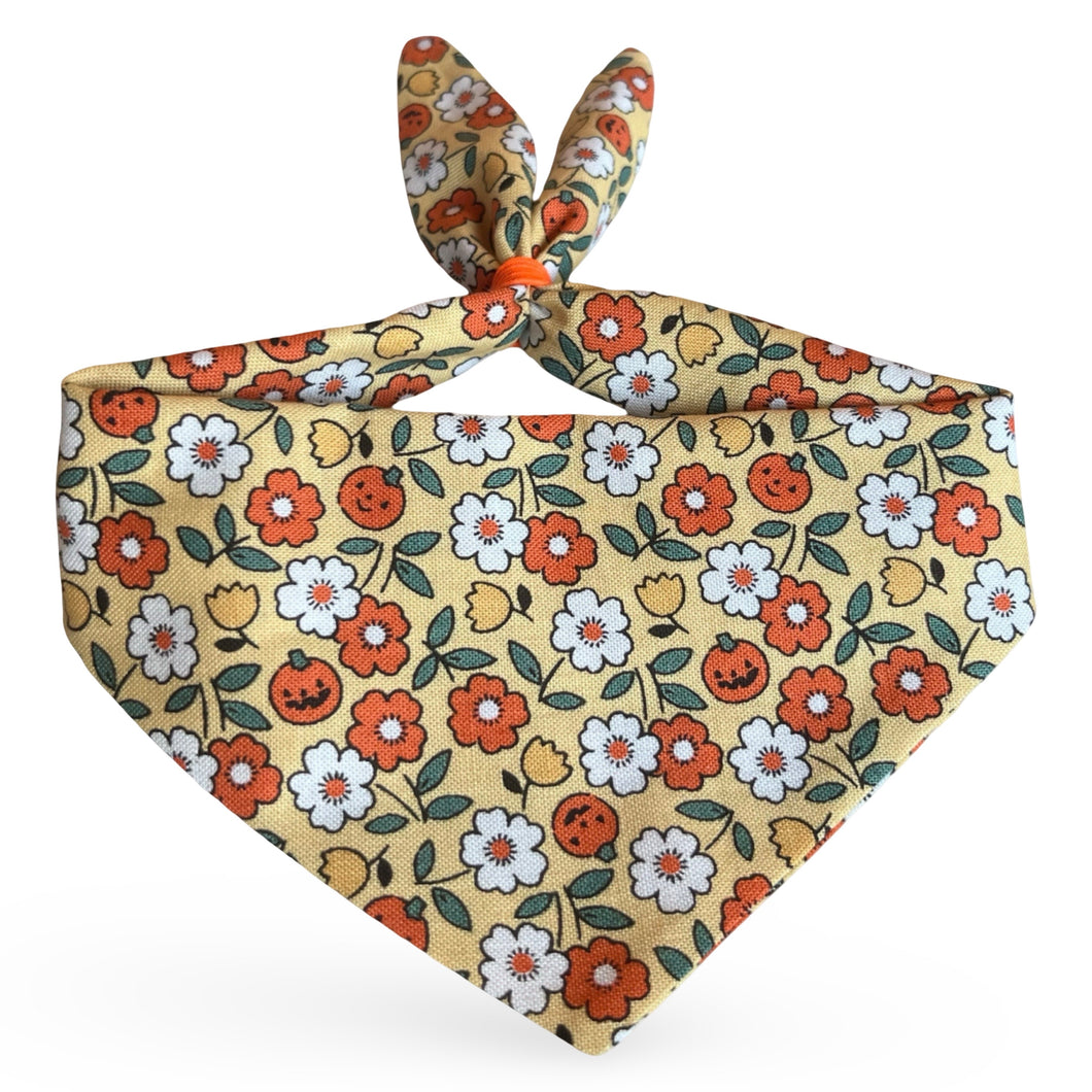 Cat Bandana  - Pumpkin Blossom (butter)