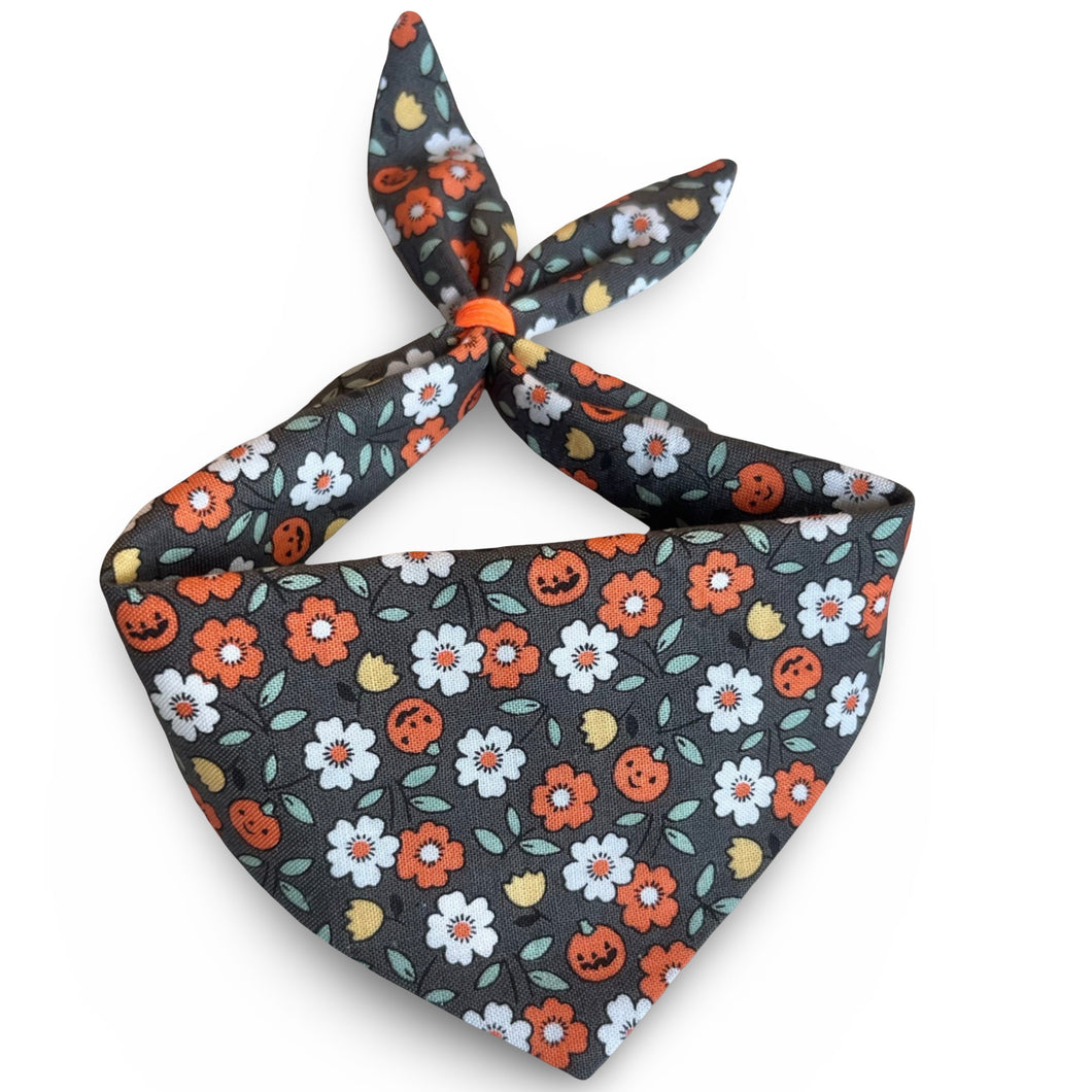 Cat Bandana  - Pumpkin Blossom (charcoal)