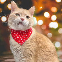 Load image into Gallery viewer, Cat Bandana - Vintage Red Ditzy Christmas Print (Copy)
