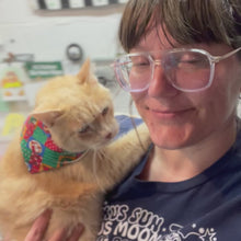 Load and play video in Gallery viewer, Cat Bandana - Vintage Patchwork Christmas (Blue, Red Green)
