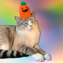 Load image into Gallery viewer, Catnip Pumpkin Hat
