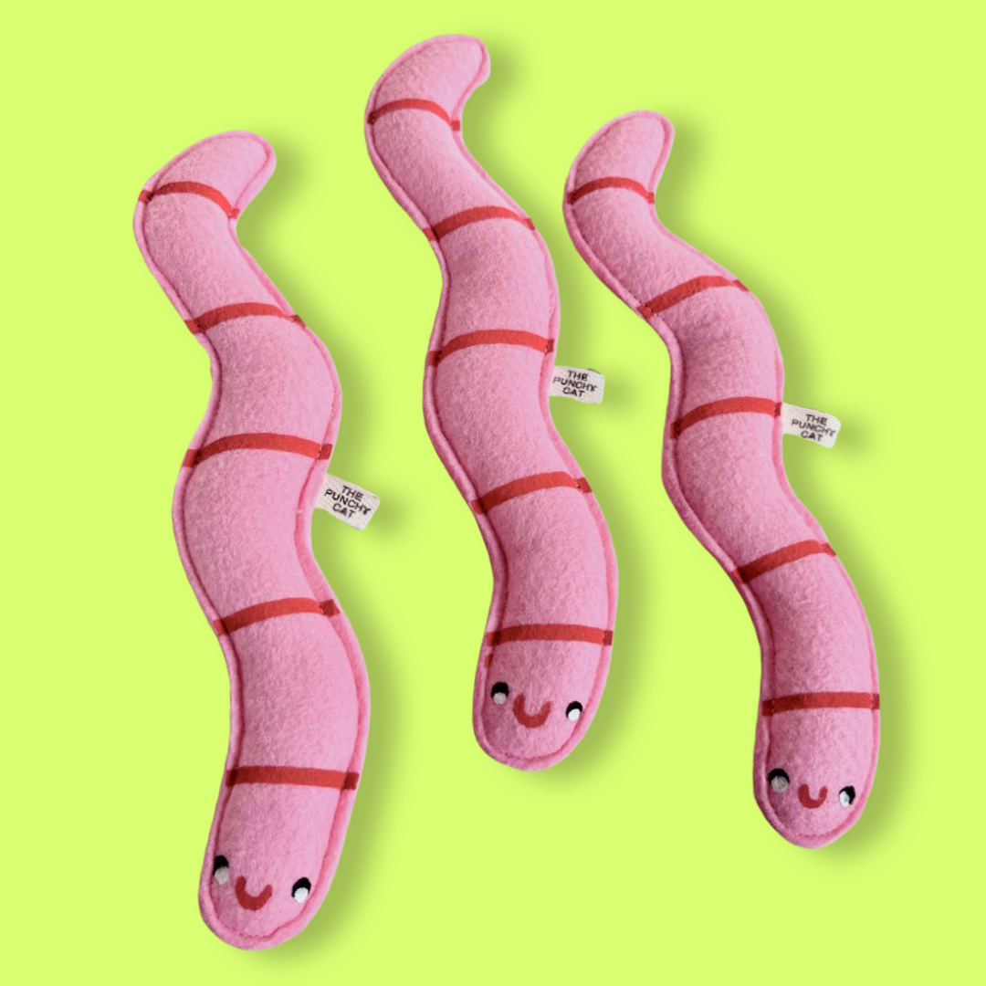  Cat Worm Toy