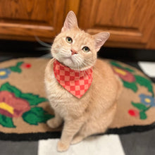 Load image into Gallery viewer, Coral 2-Tone Checkered Breakaway Cat Bandana
